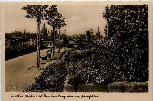 Dresden, Partie aus dem Garten am Königsufer -536990