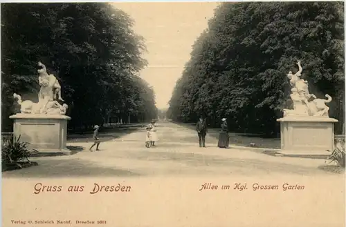 Dresden, Allee im Kgl. grossen Garten, -537050