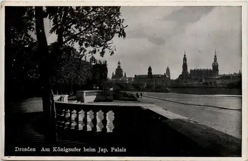 Dresden, Am Königsufer beim Jap. Palais -537136