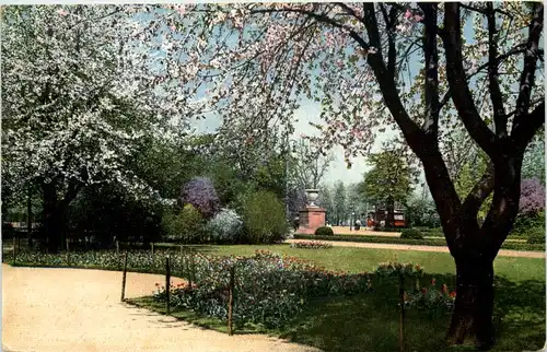 Dresden, Kgl. Grosser Garten im Blütenschmuck -537180
