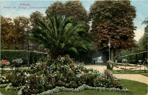 Dresden, Pillnitz, Partie im Kgl. Schlossgarten -537470