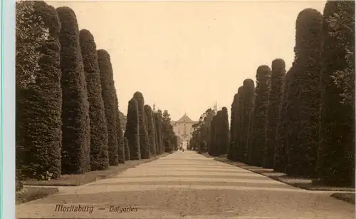 Moritzburg, Hofgarten -537662