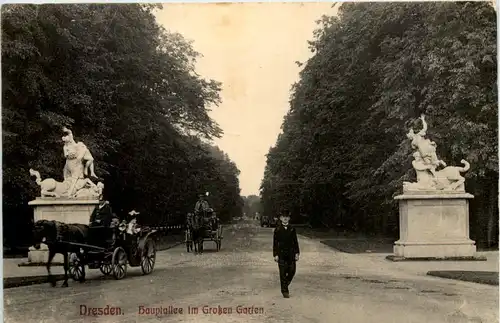 Dresden, Kgl. Grosser Garten, Haupt-Allee -537964