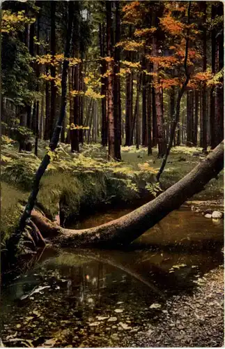 Dresden, Dresdner Heide -537630