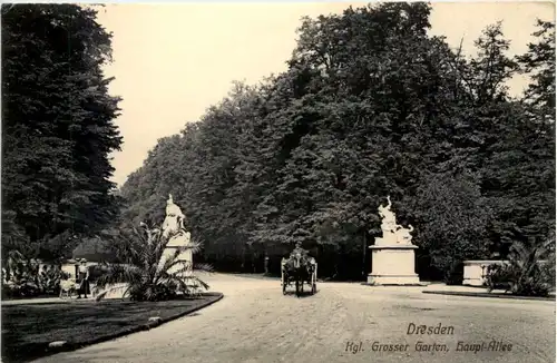 Dresden, Kgl. Grosser Garten, Haupt-Allee -537966