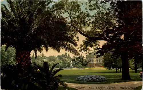 Dresden, Kgl. Grosser Garten, Palmengruppe -538012