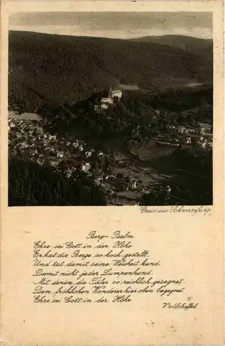 Schwarzburg i. Thür. Blick vom Trippstein -538338