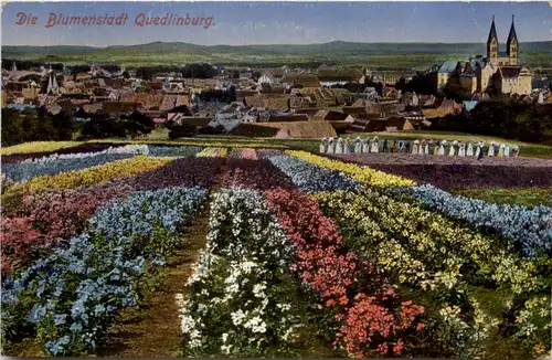 Die Blumenstadt Quedlinburg -538322