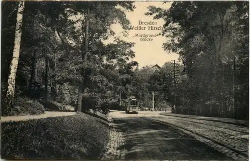 Dresden, Weisser Hirsch, Mordgrundbrücke -538524