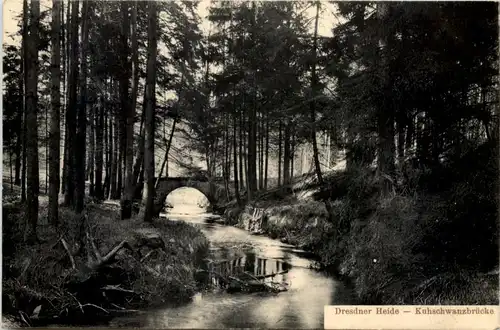 Dresden, Dresdner Heide, Kuhschwanzbrücke -538584