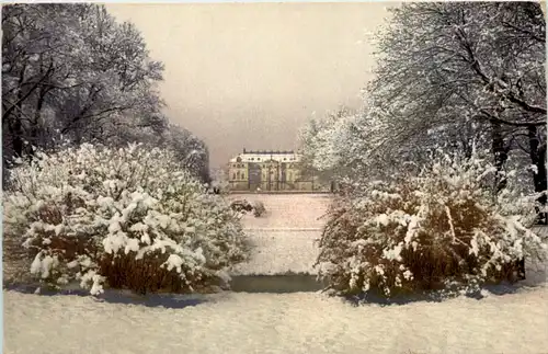 Dresden, der Grosse Garten im Winter -538442