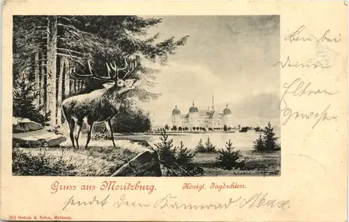 Gruss aus Moritzburg, Kgl. Jagdschloss -538960