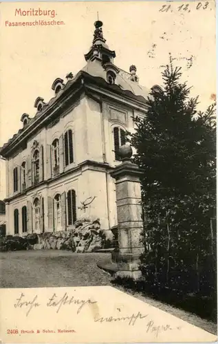 Moritzburg, Fasanenschlösschen -539174