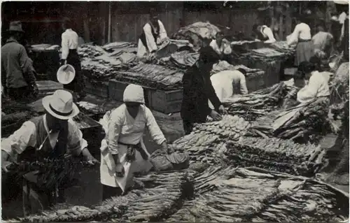 Asia - Market dried fish -656106