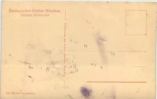 Zoologischer Garten München - Affengehege -656302