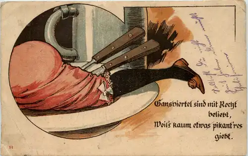 Humor - Gansviertel sind mit Recht beliebt -656566