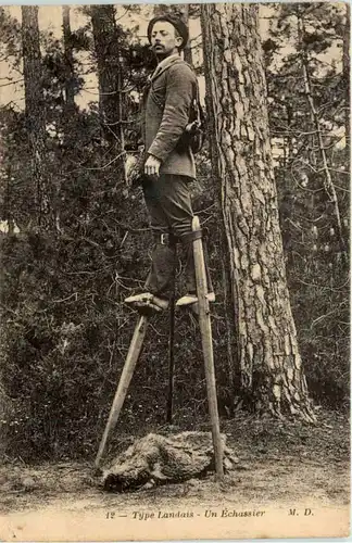 Type Landais - Un Echassier -656776