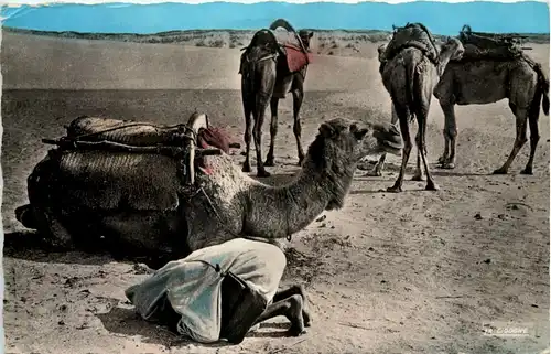 La priere dans le desert - Maroc -657814