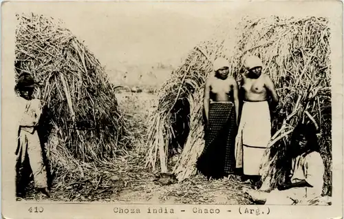 Argentina - Choza india - Chaco -657872