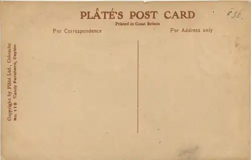 Ceylon - Elephant -657804