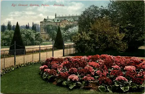 Dresden, Kgl. grosser Garten, Palais -537100