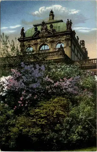 Dresden, Zwinger, Blütenschmuck -537396