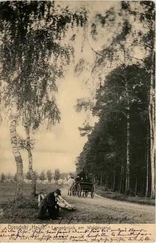 Dresden, Dresdner Heide, Langebrück am Waldesrand -538576