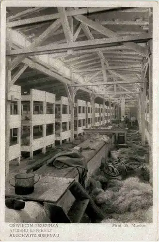 Oswiecim-Brzezinka - Auschwitz-Birkenau - Mens barracks -658560