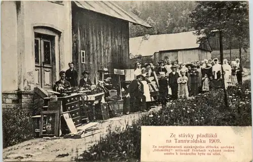 Ze stavky pradlaku n Tannwaldsku 1909 - Böhmen -659596