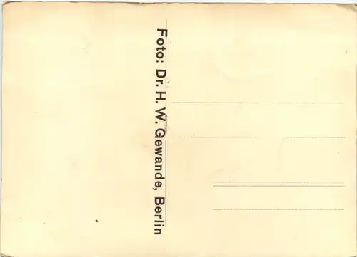 Berlin - Näherei -659912