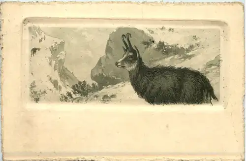 Gemse - Radierung -660082