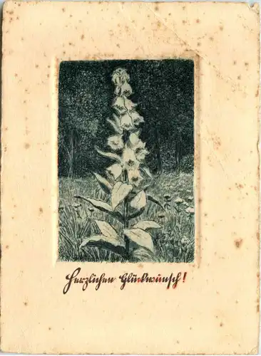 - Herzlichen Glückwunsch - Radierung -660180