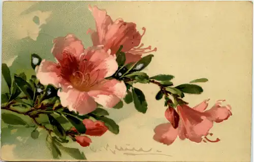 Künstler AK Catherina Klein -660714