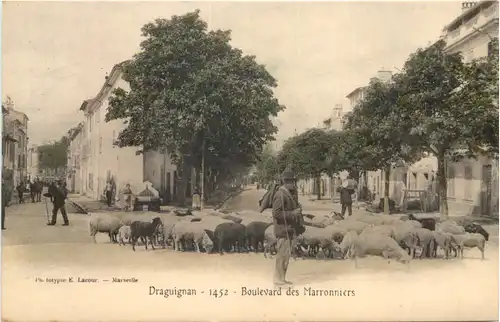 Draguignan - Boulevard des Marronniers -544154