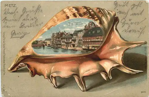 Metz Muschel - Litho -544046