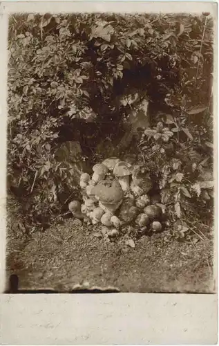 Pize in Böhmen -661820