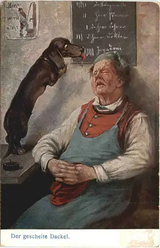Der gescheite Dackel -661752