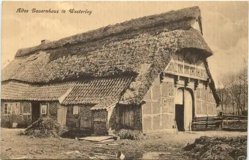 Altes Bauernhaus in Westerloy -661766