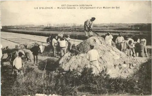 Ile d Oleron - Marais Salants -661786