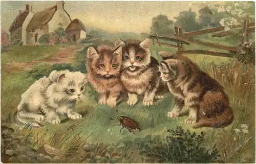 Katzen mit Maikäfer -661978