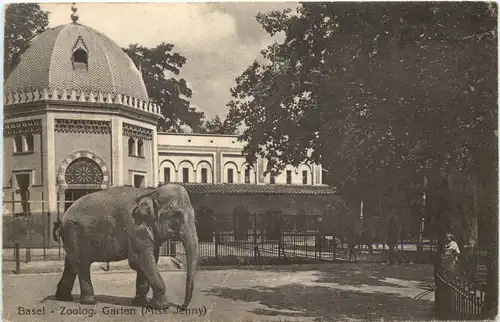 Basel - Zoologischer Garten - Elephant -662098