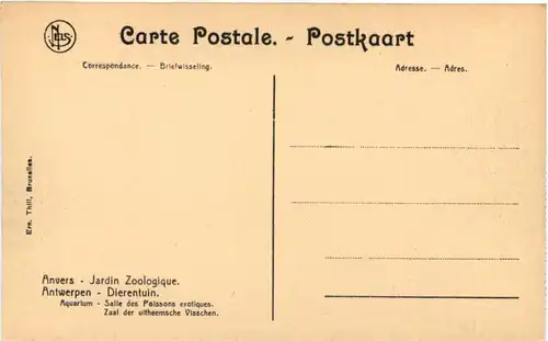 Anvers - Jardin Zoologique -662184