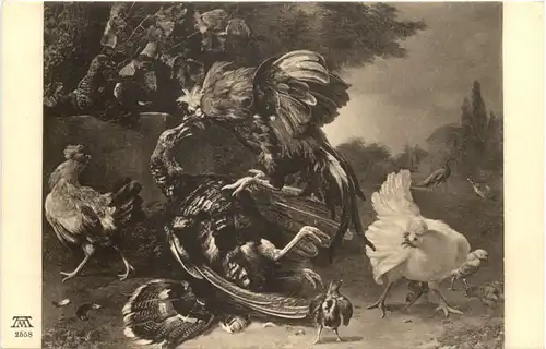 Vogel Hühner -662160