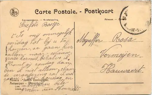 Antwerpen - Dierentuin - Löwe -662142