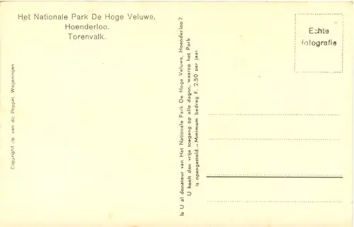Hoenderloo - Torenvalk -662214