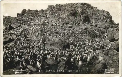 Territorio Santa Cruz . Isla Pinguia -662260
