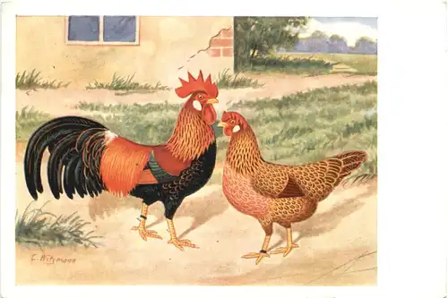 Vogel Hühner Goldfarbige Italiener -662168