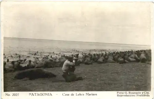 Patagonia - Casa de Lobes Marinos -662282