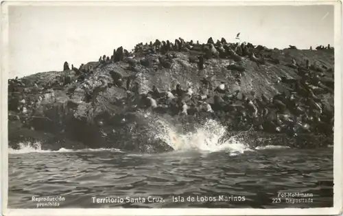 Territorio Santa Cruz . Isla Isla de Lobos Marinos -662278