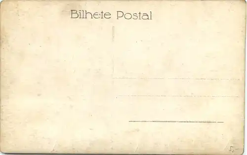 Sao Paulo - Instituto Butantan - Snake -662268